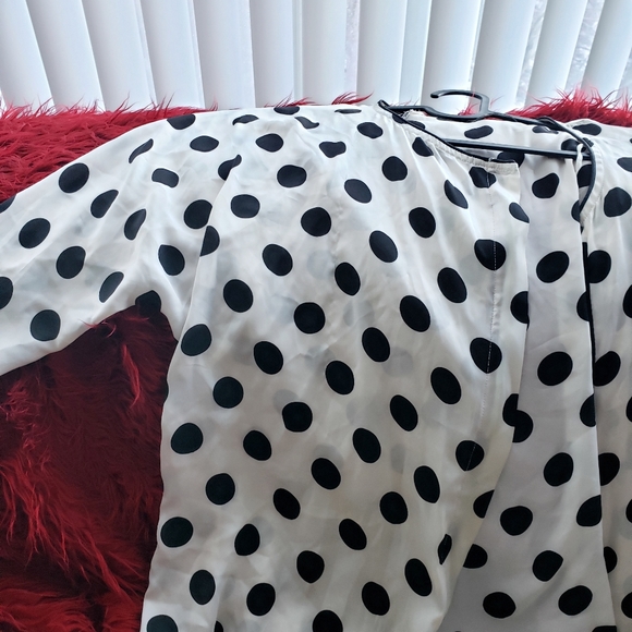 Zara Basic polka dot blouse - Picture 4 of 4